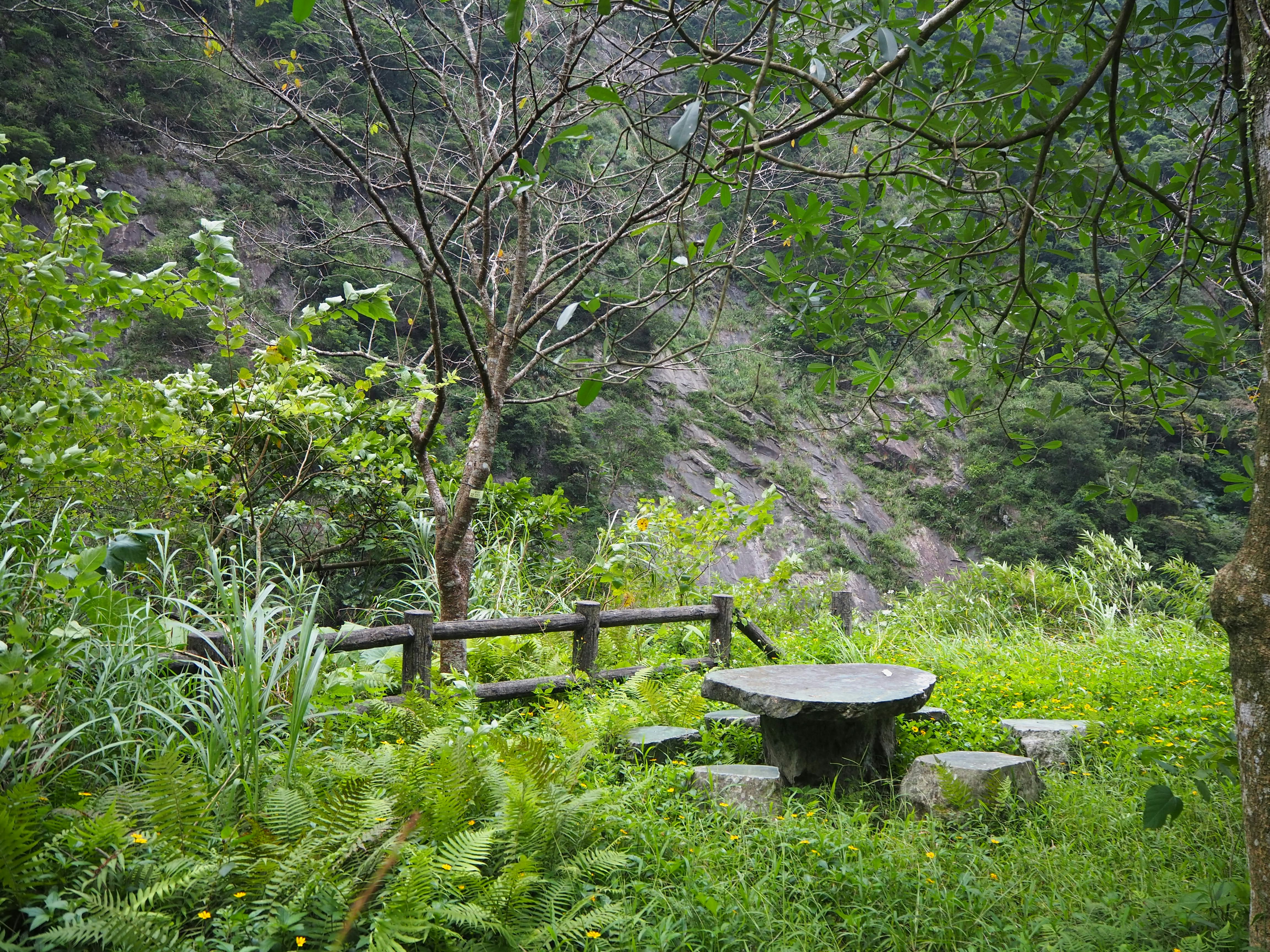 Stone tea table on the Wulai hiking trail, Taiwan. 