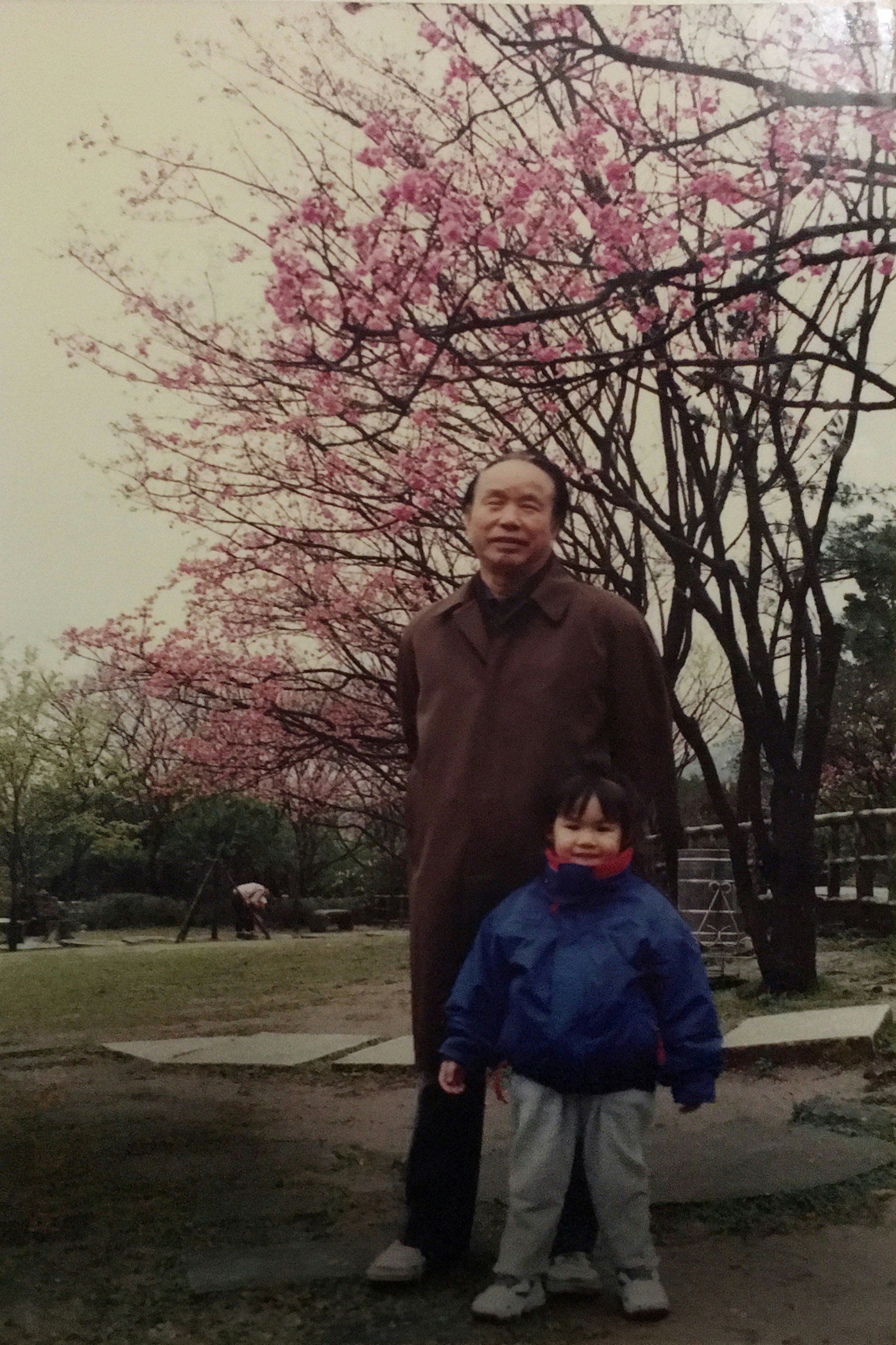Li (right) and her paternal grandfather under a cherry blossom tree, Taiwan. 1995. 