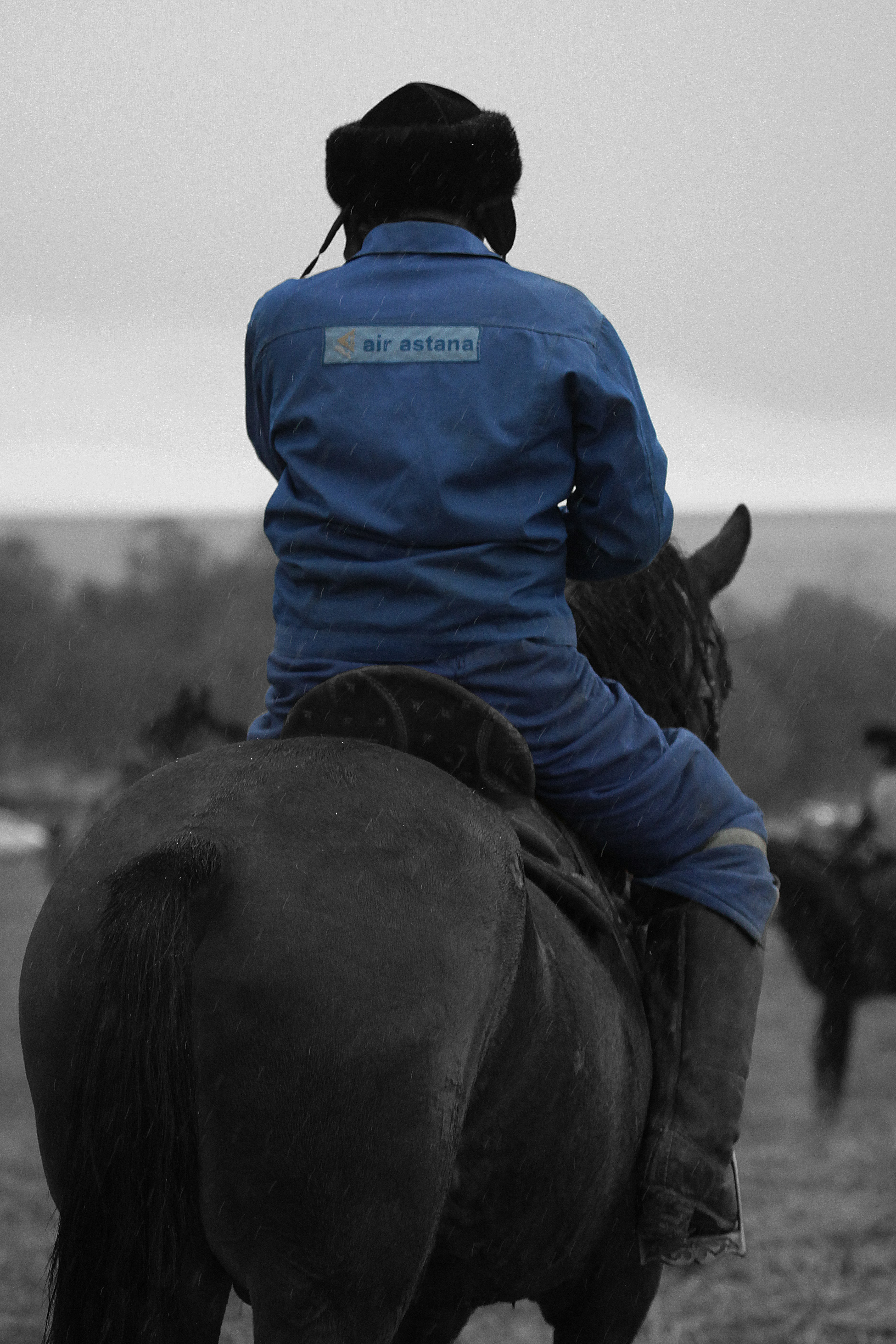 Someone on the back of a black horse facing away from camera. They are wearing a blue full body suit and a black hat.