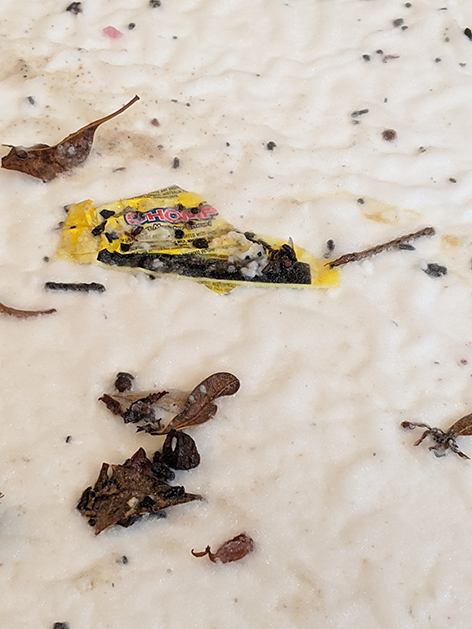 Melted coconut oil, strewn with old leaves, sticks, a ripped chocolate bar wrapper and other debris