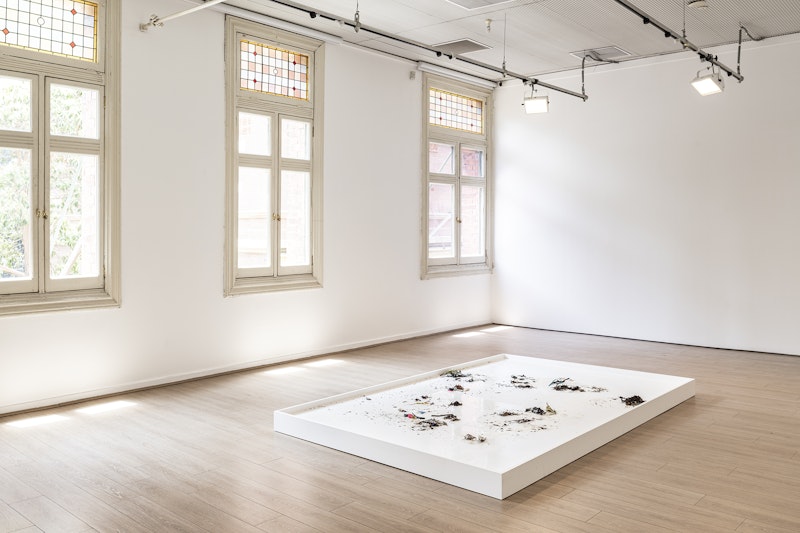 Paula Schaafhausen, Ebbing Tagaloa, 2020, coconut oil, found objects from Sydney, dimensions variable. Photo: Kai Wasikowski for 4A Centre for Contemporary Asian Art. Courtesy the artist.