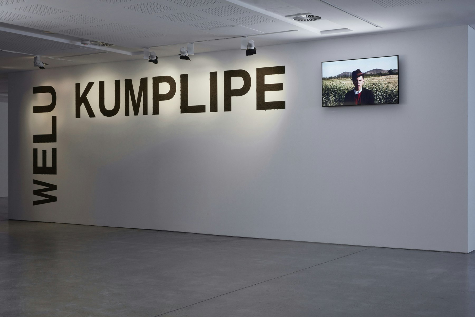 Sebastián Calfuqueo Aliste, 'Welu Kumplipe Mapuche' (installation view), 2018, UNSW Galleries, 2020. Photo: Zan Wimberley