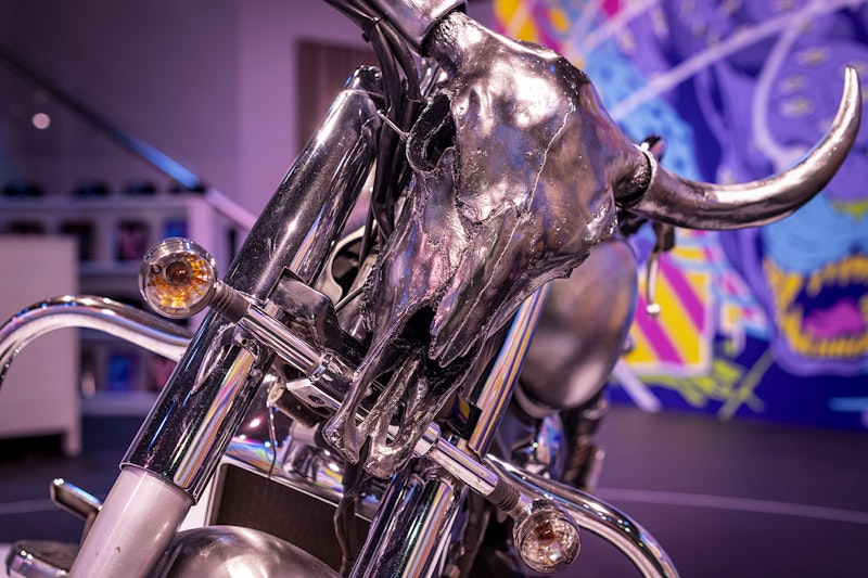 A close-up of a grey chromed ox skull on the front of a motorbike.