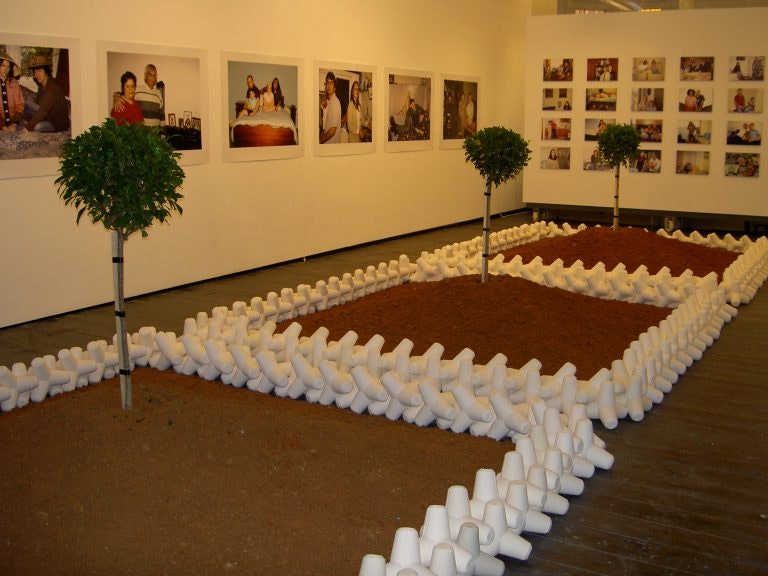 A floor installation of three fenced plots of dirt with a tree growing from each. Behind are small and large photographs mounted on white gallery walls.