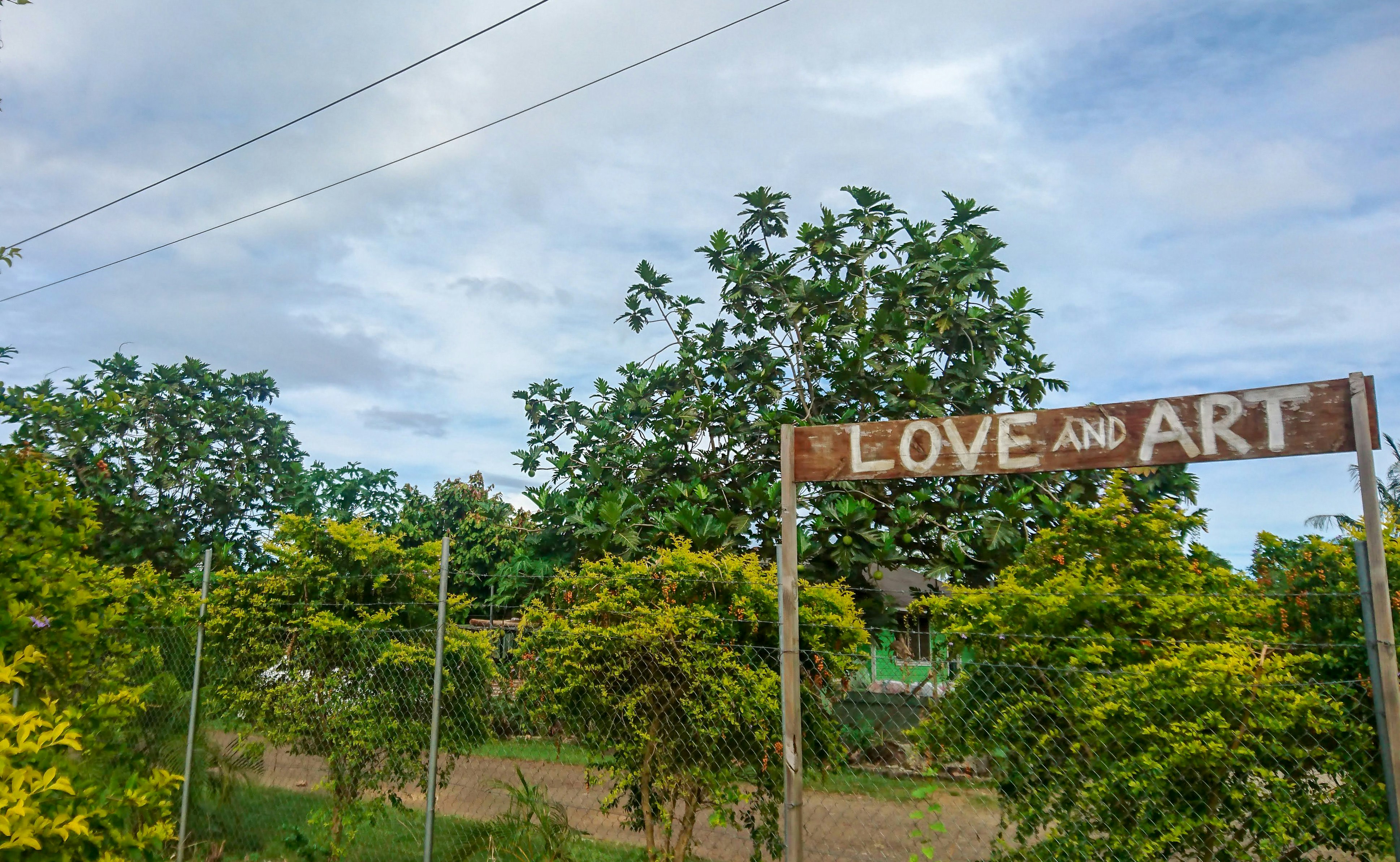A wire fence surrounded by green vegetation, next to a wooden sign scrawled with the words "Love and Art".