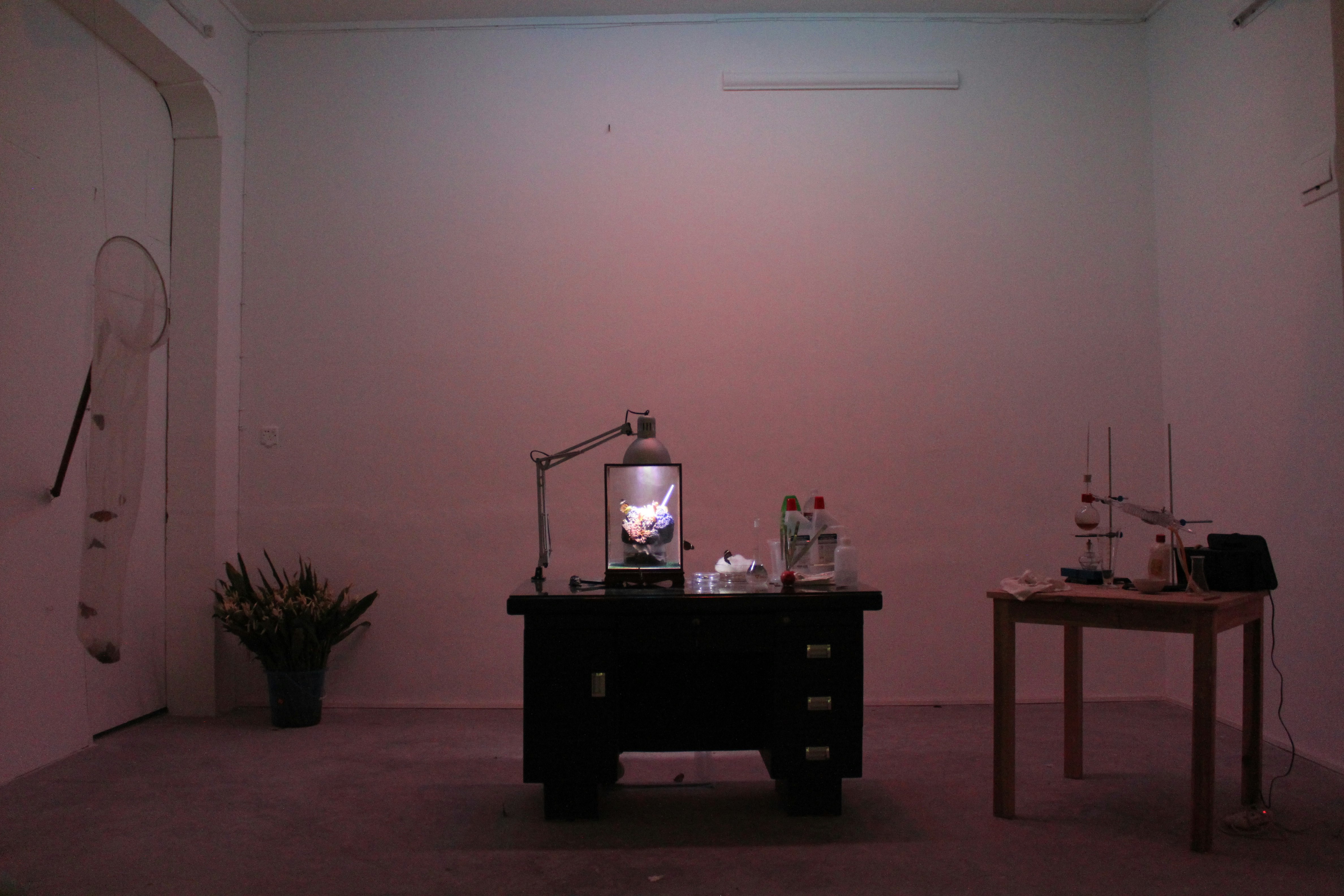 A pink-hued room with a chest of drawers bearing a lamp shining down on a glass display. On the left is a bouquet of flowers and a long mesh net.