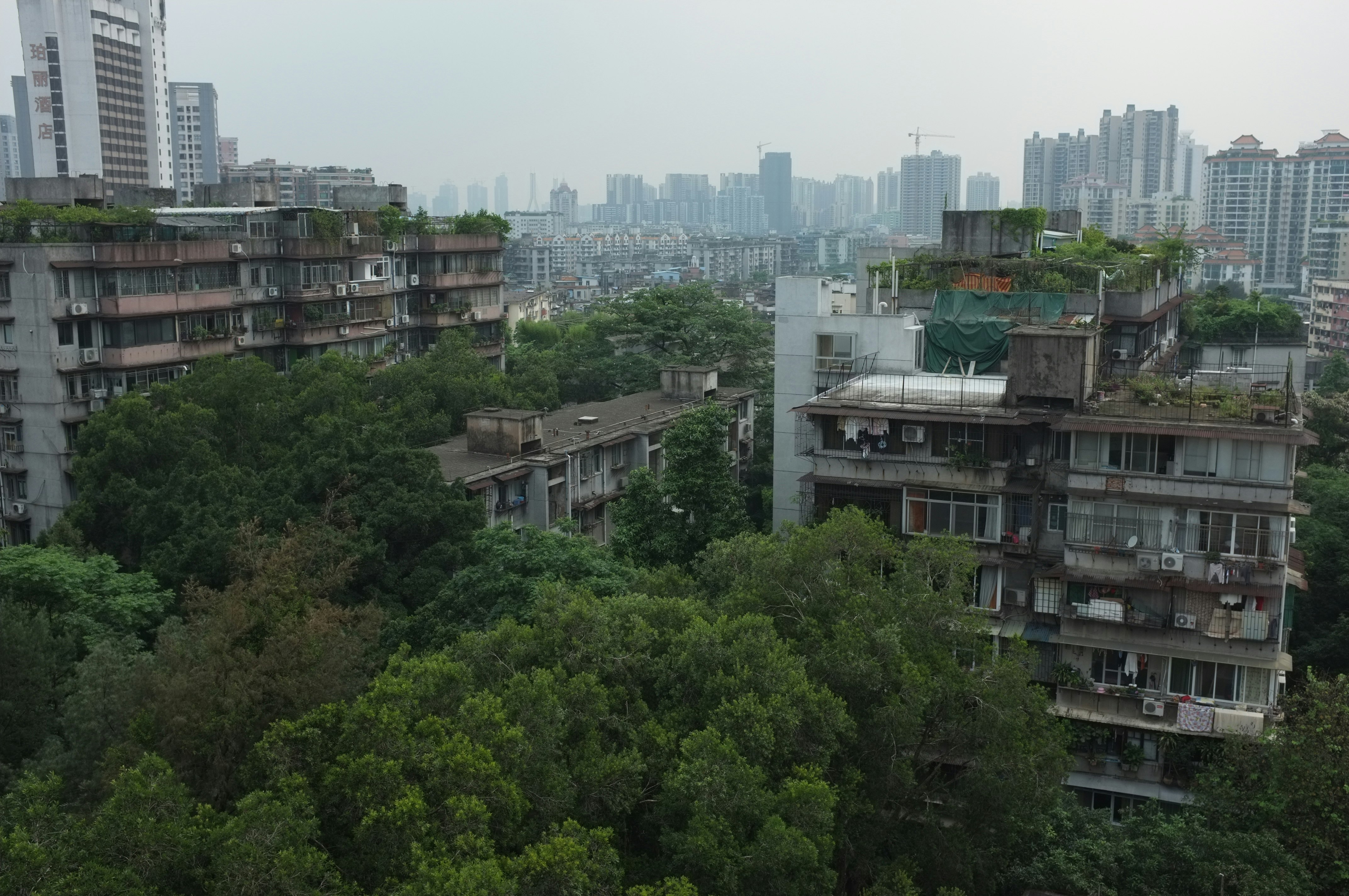 Grey apartments in Guangzhou, surrounded by dense foliage of trees.