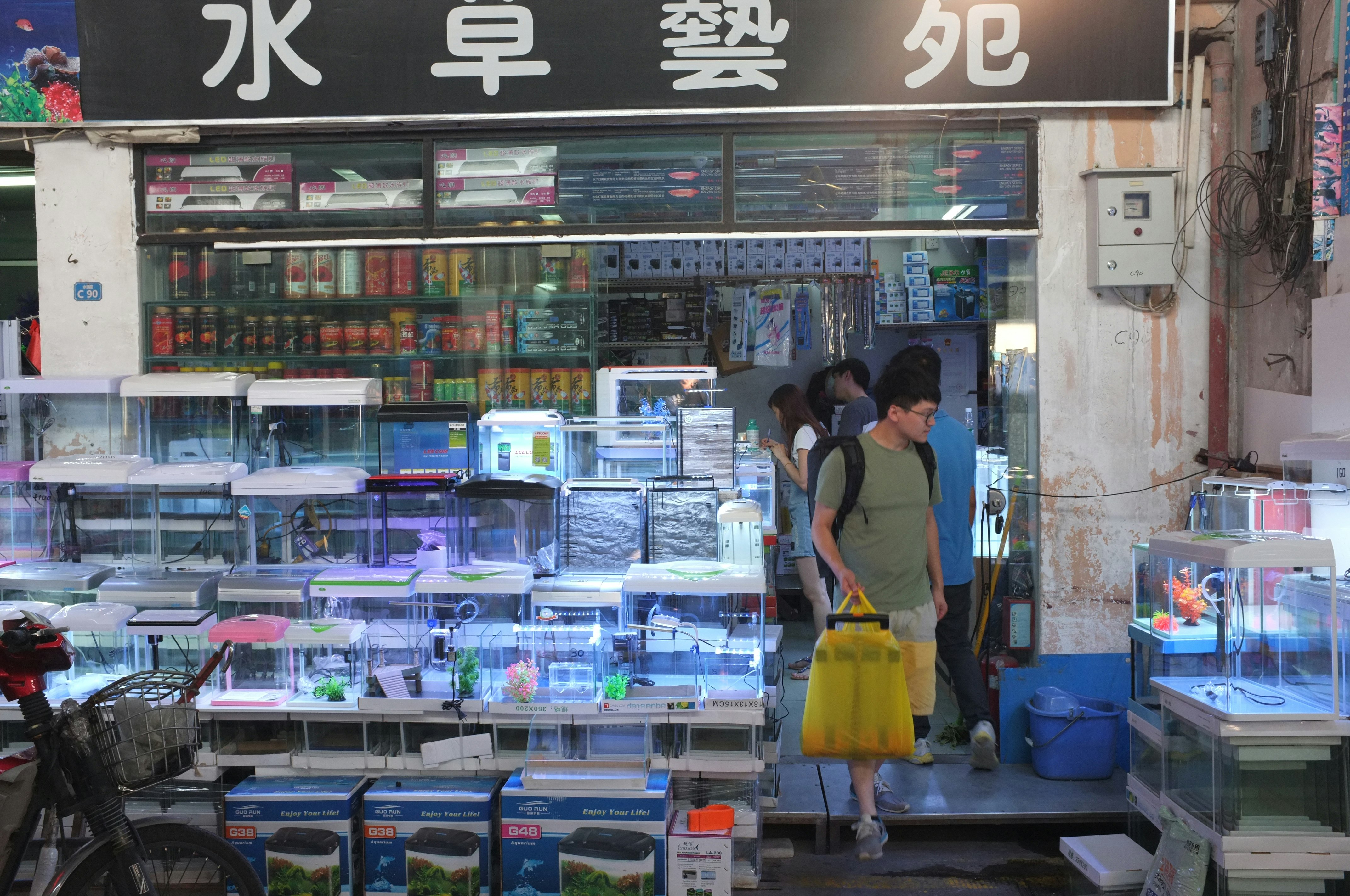 An East Asian male-presenting figure in a green t-shirt and shorts carrying a fish tank out of an aquarium.