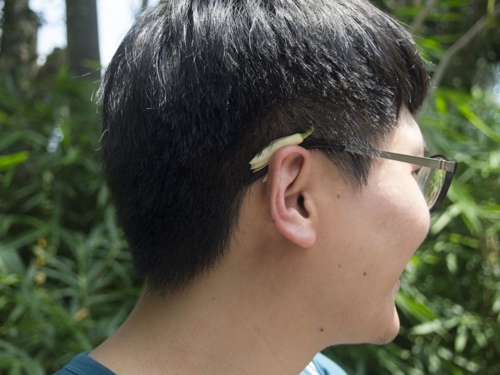 An East Asian male-presenting figure wearing glasses and a white flower behind his ear.