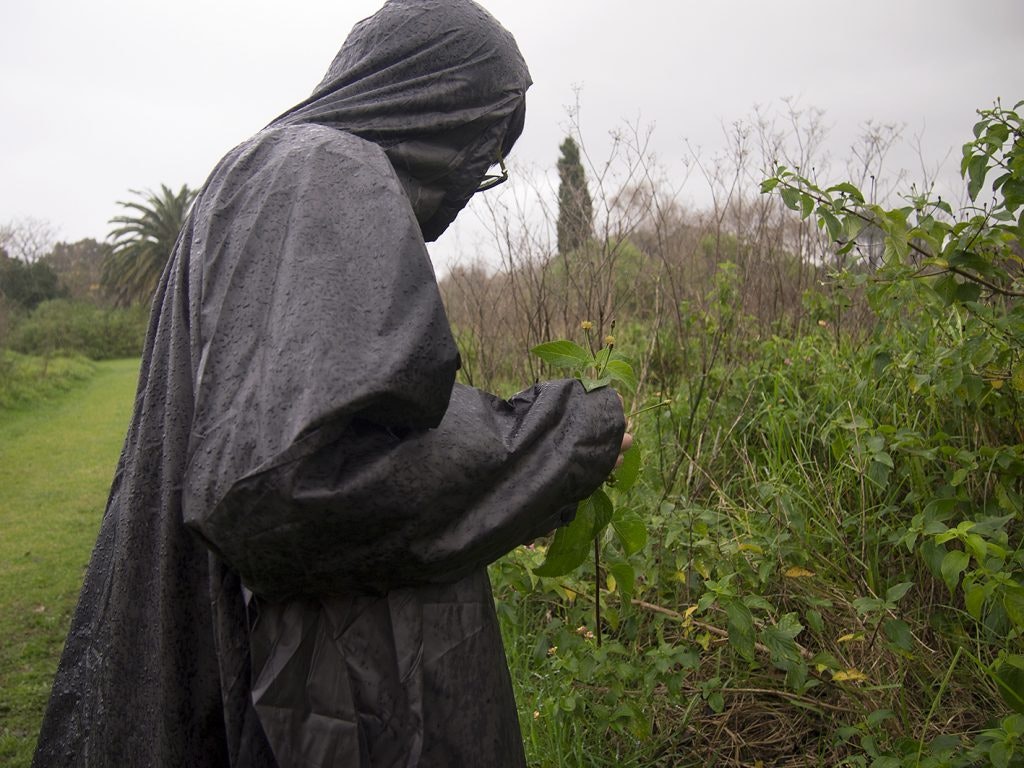 Trevor in a black rainjacket, standing in a green pasture.