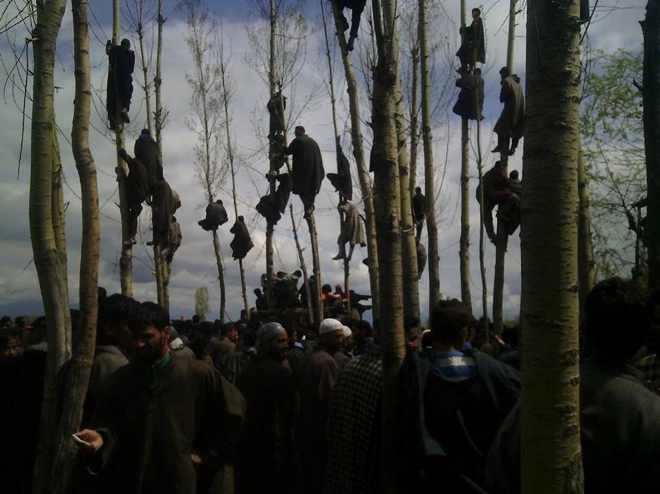 A crowd of mourners, with men in coats climbing up tall trees, watching a funeral.