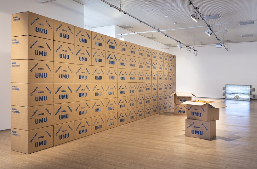 A long wall of stacked cardboard boxes printed with 'UMU' and 'SEASONAL SMALL WORKER' in blue text. Four boxes are stacked on a hardwood floor, flaps open with oranges stored inside. In the corner is a small cement brick wall projected with a video of waves coming in on a beach.