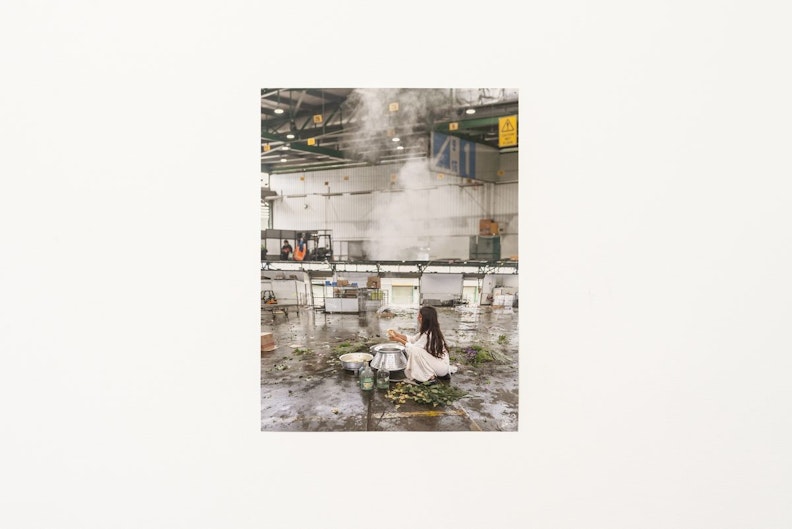 A photograph of a female-presenting figure in a long white dress, seated with her hands working over an aluminium pot against an industrial factory backdrop. She appears to work near a production line and various stacks of cardboard boxes, while plant cuttings surround her on a wet floor.