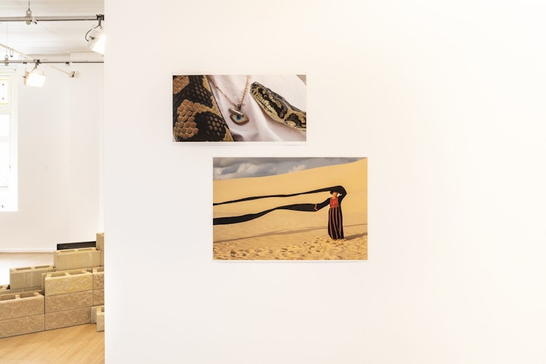 A photograph of a snake on white fabric, with its head near a gold necklace with a small evil eye amulet. Underneath this photo is a print of a female-presenting figure in a long red and black striped dress with extremely long black sleeves that seem a few metres long. She stands in the desert with her left arm extended above her head and her right arm extended outwards, so the sleeves blow outwards with the wind.