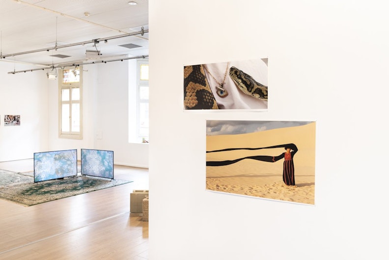 A photograph of a snake on white fabric, with its head near a gold necklace with a small evil eye amulet. Underneath this photo is a print of a female-presenting figure in a long red and black striped dress with extremely long black sleeves that seem a few metres long. She stands in the desert with her left arm extended above her head and her right arm extended outwards, so the sleeves blow outwards with the wind. Both photographs are mounted on a wall in front of a bigger gallery space with three green Persian rugs arranged on the floor with two LCD screens mounted on top.