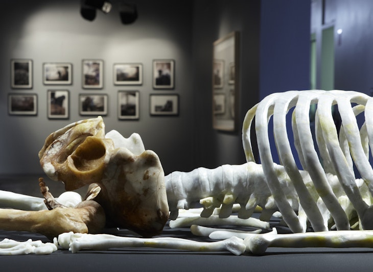 He Xiangyu, Skeleton (detail), 2010, jade. Courtesy Pearl Lam Gallery, Shanghai. Photo: Zan Wimberley.