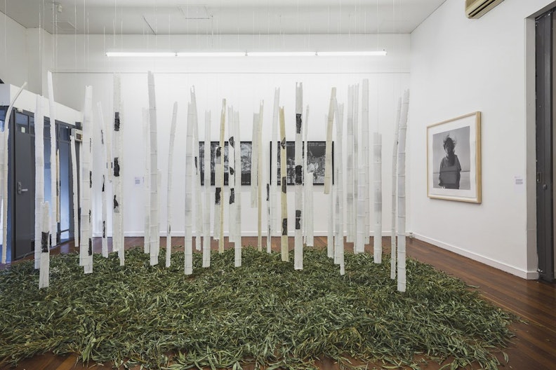 An installation fills a smaller gallery space with many wax sculptures  in the shape of segmented bamboo hanging above a tangled mass of green grass, the gallery walls have framed photographs obscured by the sculptures