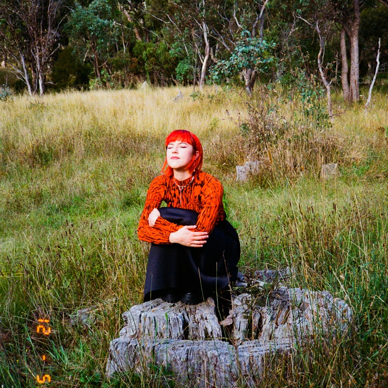 Hēi zhī ma 黑芝麻