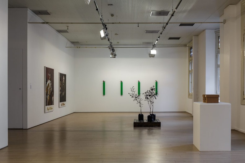 A gallery with an installation of trees and archive boxes in the middle, behind them are some thin wall sculptures and paintings
