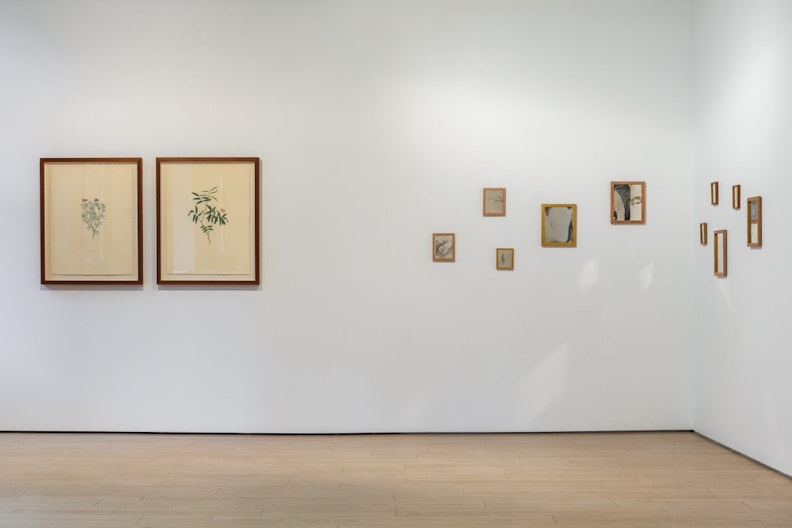 Two brown frames with plant illustration hang next to each other on the wall; whilst smaller frames hang scattered to their right