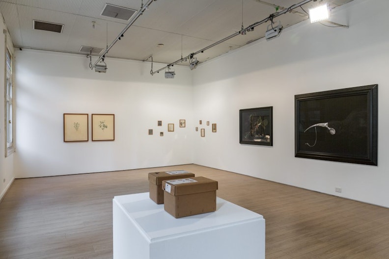 A brightly-lit gallery with brown boxes displayed on a plinth,  frames of different sizes are hung on the wall