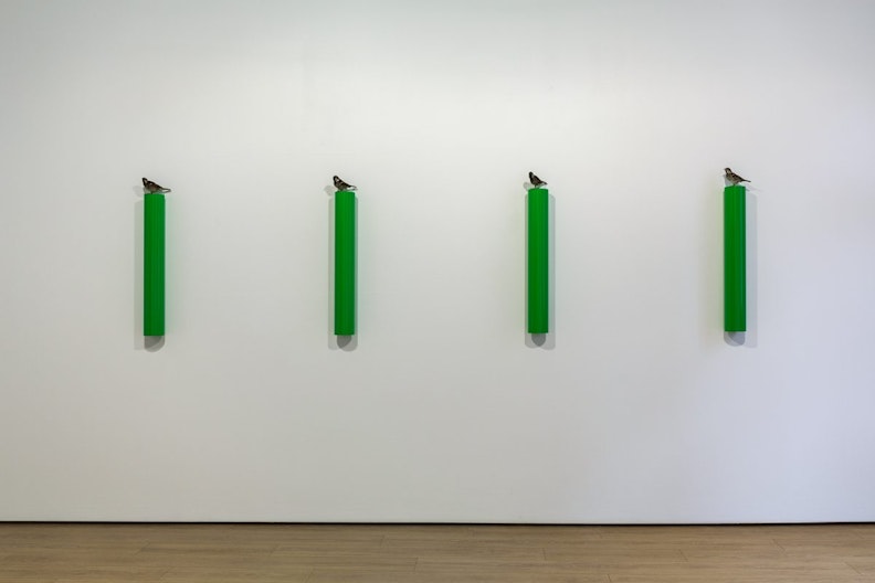 Four thin pillars, each with a finch perched on top, were hung against a blank wall