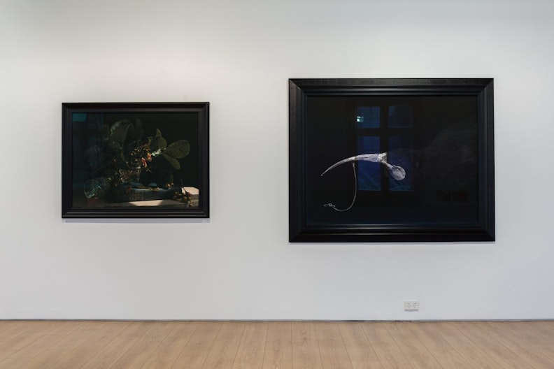 two large frames show dark still life photographs of plants and animal bones