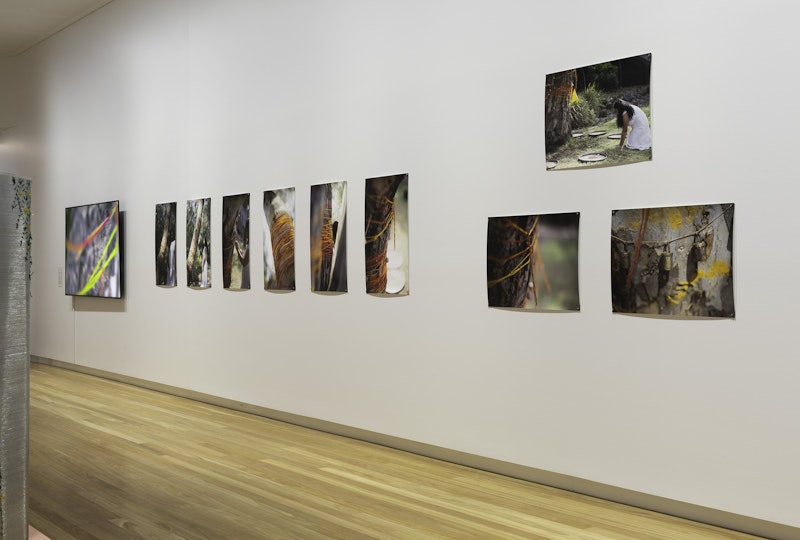 Bush Diwan (installation view), 2023, Bunjil Place; photo: Christian Capurro