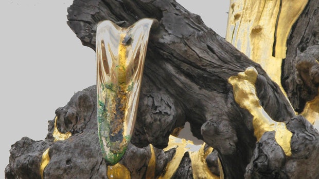 A close up shot of the sculpture Golden Water Mouth, depicting a tree partially covered in gold leaf applied over fibreglass