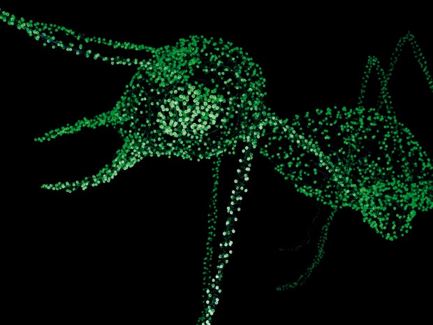 A green ant made up of green lights against a black background