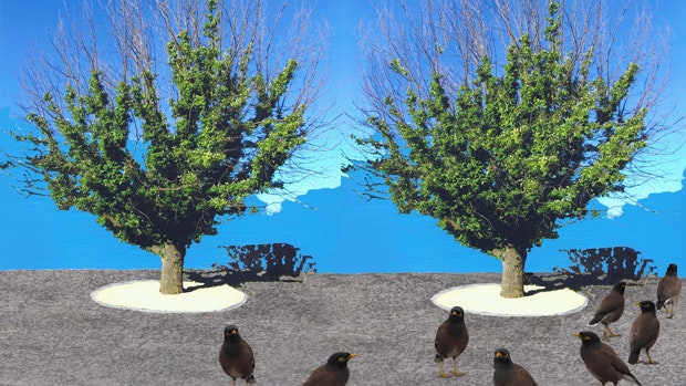 Junkbirds, a picture of birds standing on concrete with two trees and a blue sky