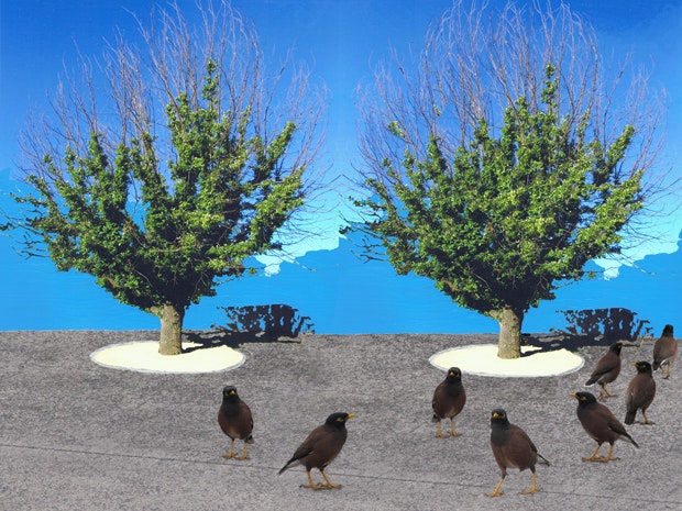 Junkbirds, a picture of birds standing on concrete with two trees and a blue sky