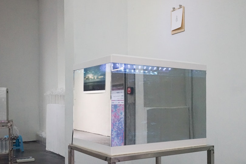Wall: Trevor Yeung, Behind Ear, White Champak (2016), installation view, Observation Society. Courtesy the artist.  Centre: Trevor Yeung, White Cloud Mountain Minnow (2016), installation view, Observation Society. Courtesy the artist. Image: Trevor Yeung