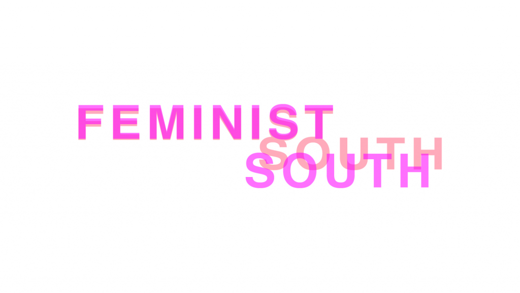 Pink text reading Feminist South on a white background