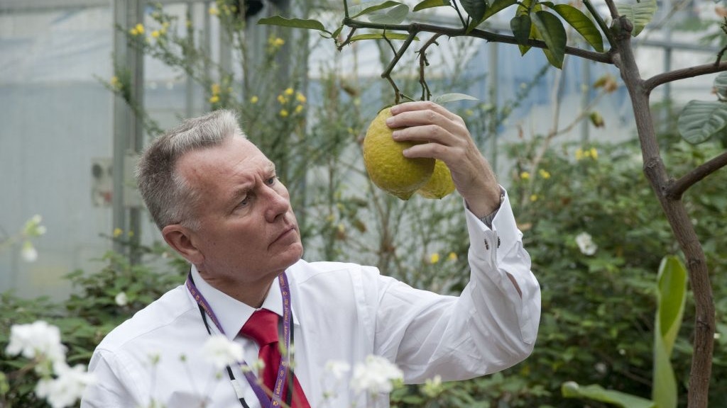 A photo of botanist David J. Mabberley.