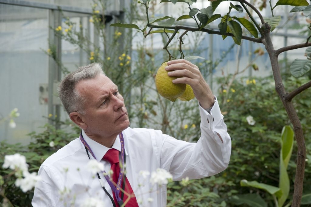 A photo of botanist David J. Mabberley.