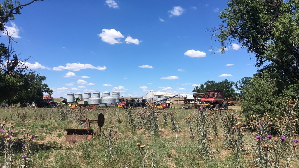 Currawong Farm, photo taken by Jason Phu