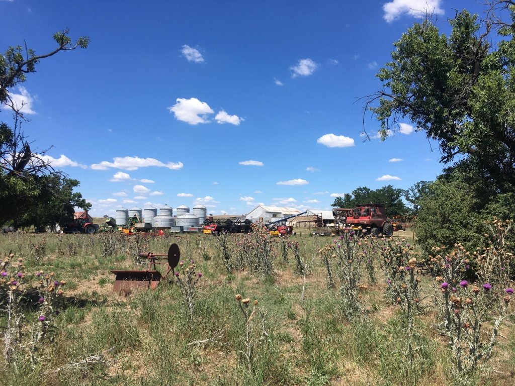 Photo of Currawong Farm, taken by Jason Phu as part of Community Offering: The Burrangong Affray.