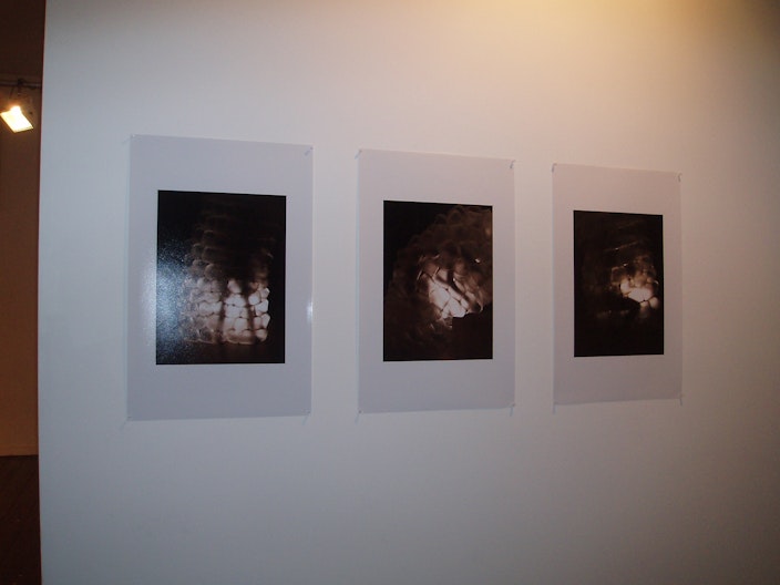 Biljana Jancic, Untitled 1-3, 2007, colour photographs