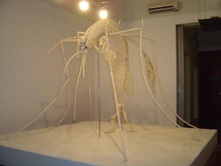 Phase 1: Shen Shaomin, Unknown Creature #12, 2003, animal bone, marble glue, salt. installation view