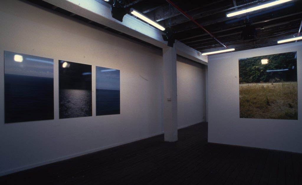 Header image: Felicia Kan: Different Fields Different Skies, 2000, installation view