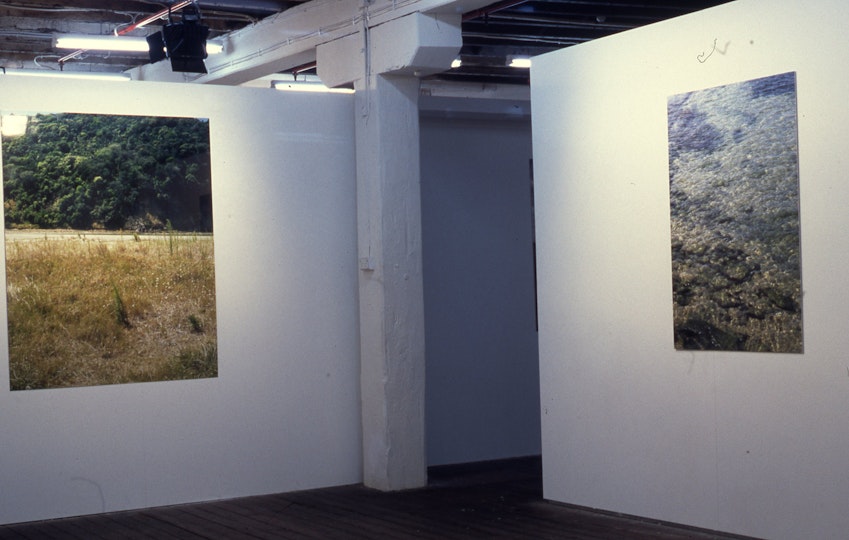 Felicia Kan, Different Fields Different Skies, 2000, installation view, 4A Centre for Contemporary Asian Art