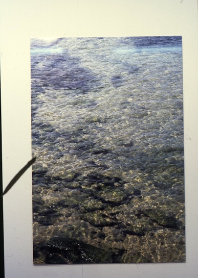 Felicia Kan, Shallows, 1998, C-type photograph mounted on aluminium.