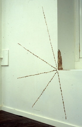 Shilpa Gupta, Untitled, 2000, cloth stained with menstrual blood, video, installation view, 4A Centre for Contemporary Asian Art. Courtesy the artist.