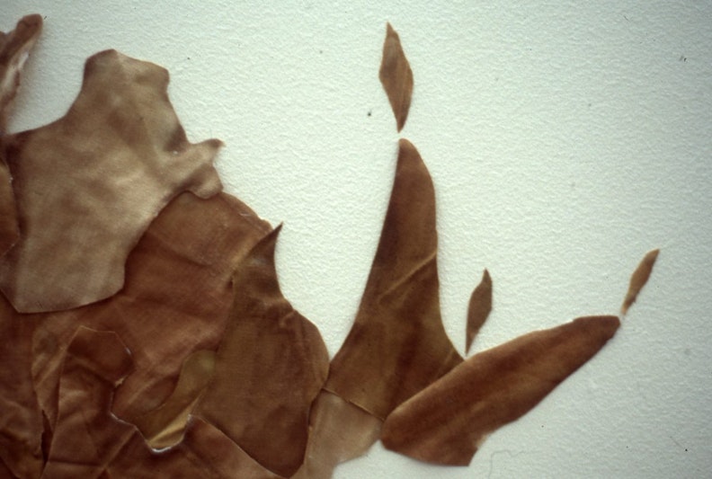 Shilpa Gupta, Untitled, 2000, cloth stained with menstrual blood, video, installation view, 4A Centre for Contemporary Asian Art. Courtesy the Artist.