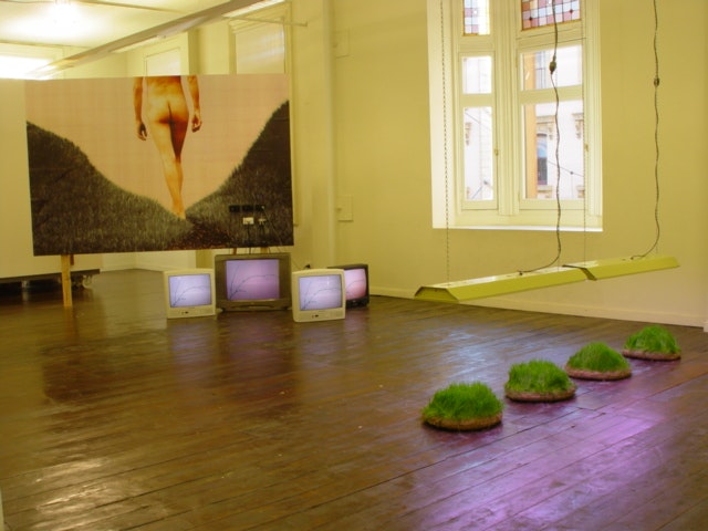 Hayden Fowler, The Nature Machine, 2003,  timber, A4 colour prints, TV monitors, electrical, accessories, VHS, floorlamps, hessian, earth, grass.