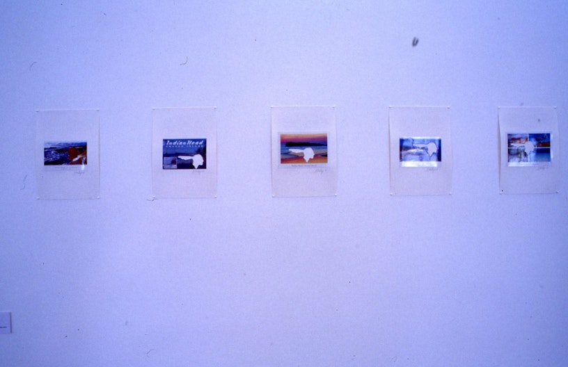 Fiona Foley, Indian Heads, 2003, postcards on paper, installation view.