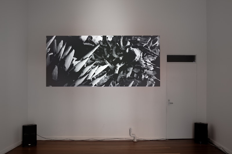 Henry Lai-Pyne, 'NEXUS', 2024, two-channel video installation, two-channel audio, courtesy the artist; photo: Kai Wasikowski for 4A Centre for Contemporary Asian Art, 2024.