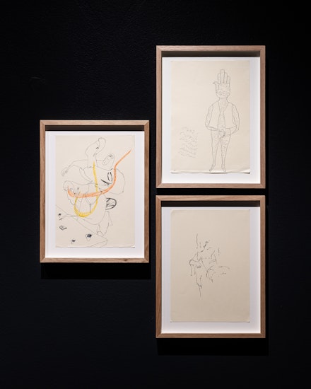 دیگرگونه Another Kind, 2013–ongoing, pen and ink on paper, dimensions variable. Courtesy the artist.