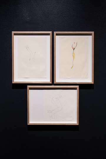 دیگرگونه Another Kind, 2013–ongoing, pen and ink on paper, dimensions variable. Courtesy the artist.